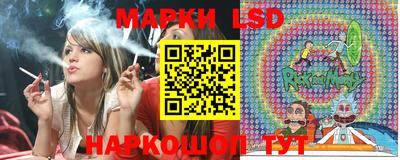 стафф Камышлов