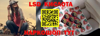 стафф Камышлов