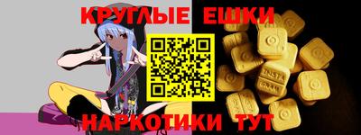 стафф Камышлов