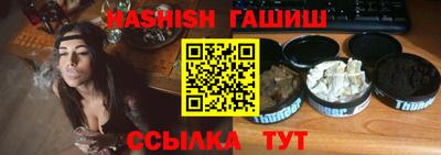 стафф Камышлов