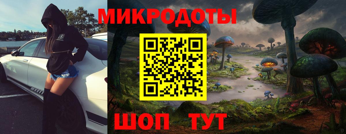 Галлюциногенные грибы Psilocybe Тавда