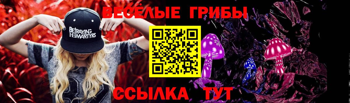 Галлюциногенные грибы мухоморы  Вход с VPN  купить наркотик  Галлюциногенные грибы мицелий  Тавда 
